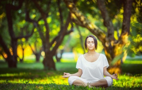 开云体育中国-双城记，当公牛撞破华南虎，切特于欧洲之巅展露獠牙