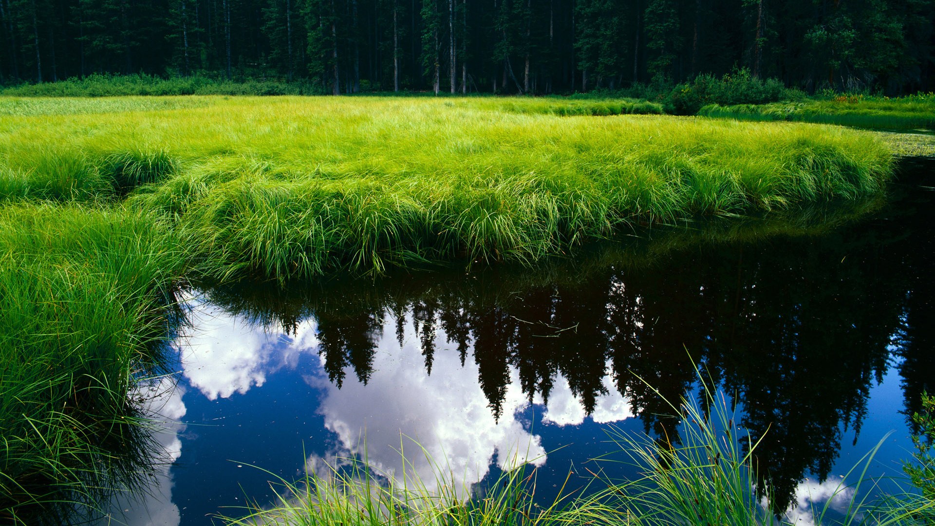 英格拉姆生涯之夜，太阳般耀眼的个人秀与团队压制力