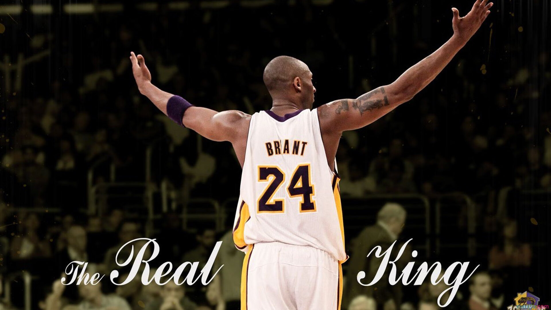 末节之王范弗利特，一剑封喉掀翻辽宁王朝