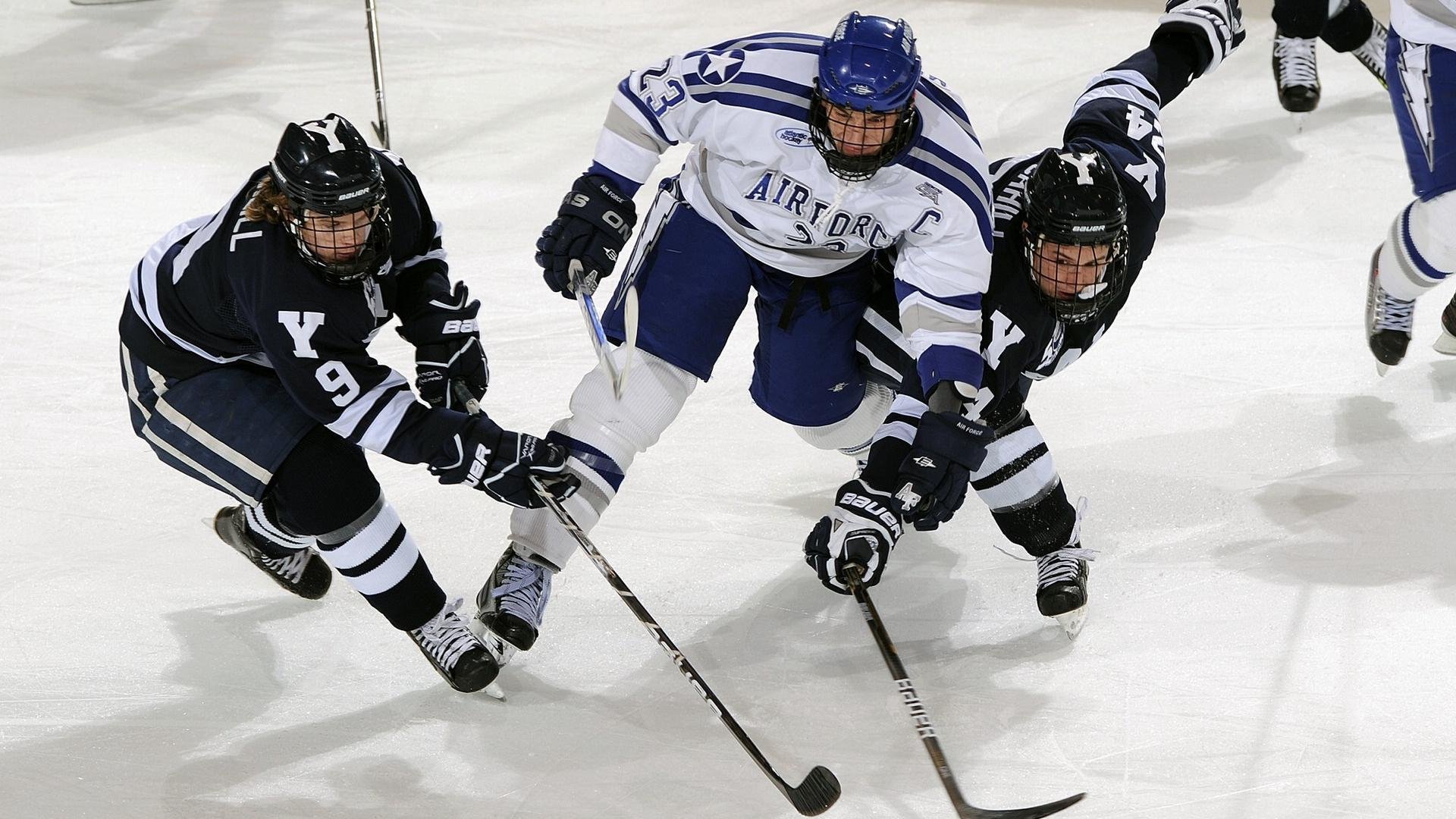 火线独行，塔图姆的炽热战场与森林狼的北境制霸